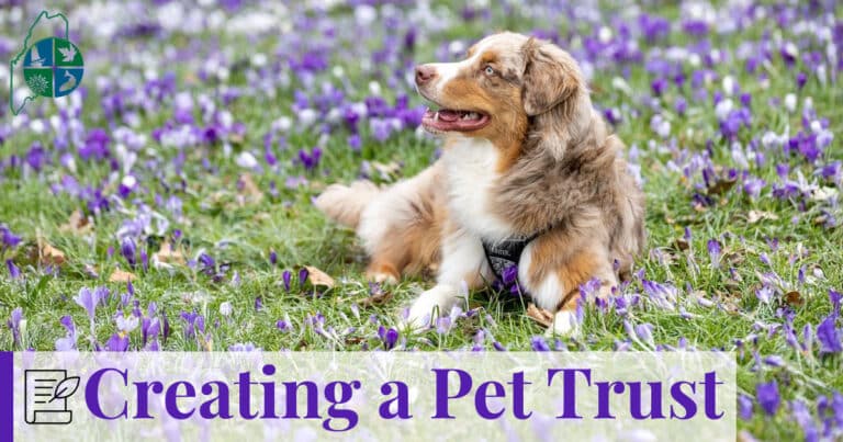 A medium dog sitting in a lush field of purple flowers, symbolizing the peaceful and well-cared-for future provided by a pet trust.