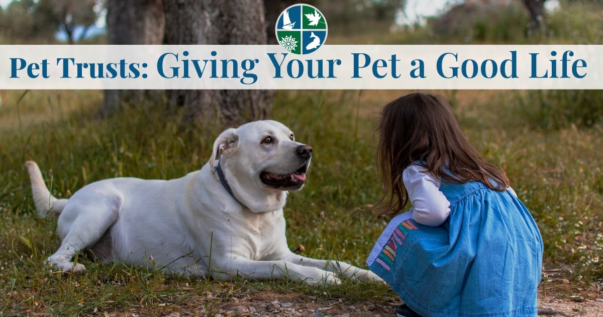 pet trusts