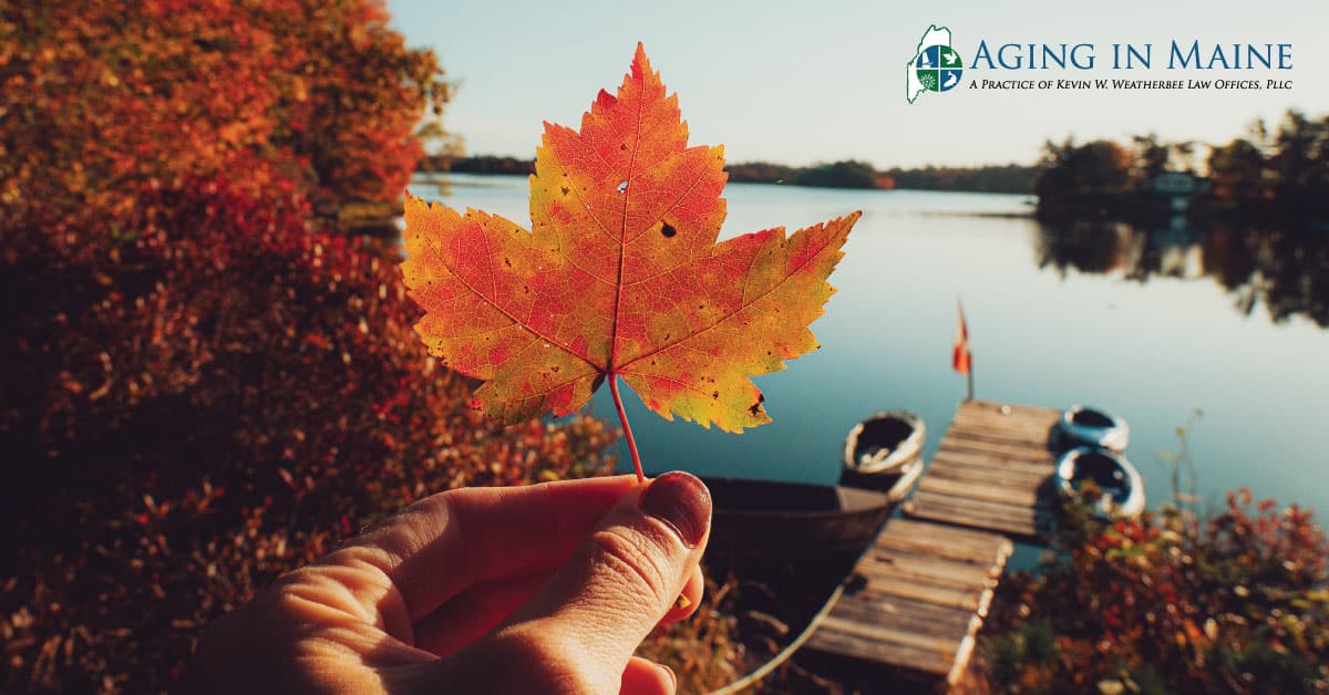 Orange fall leaf overlooking a Maine lake during autumn