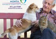 Older man sitting on a bench with a dog and cat, celebrating Older Americans Month 2024 with the theme "Powered by Connection."